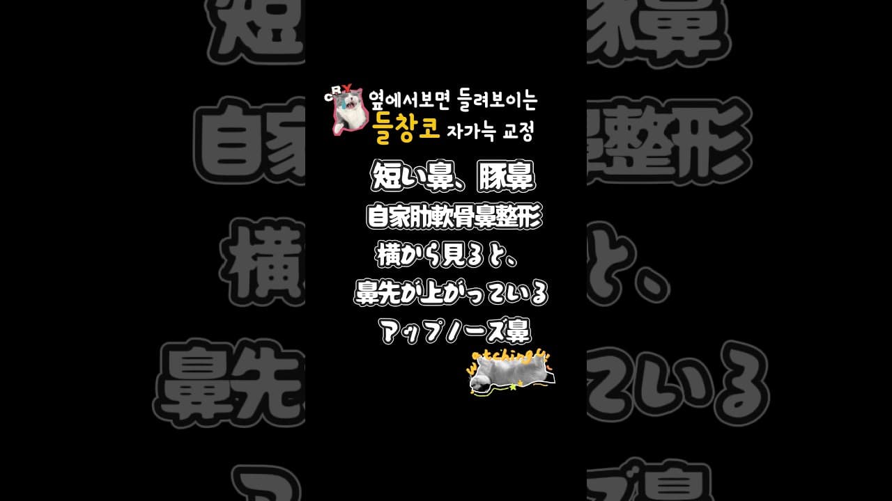 타원코수술후 들려보이고 집혀보이는코 고민😭 코원에서 재교정