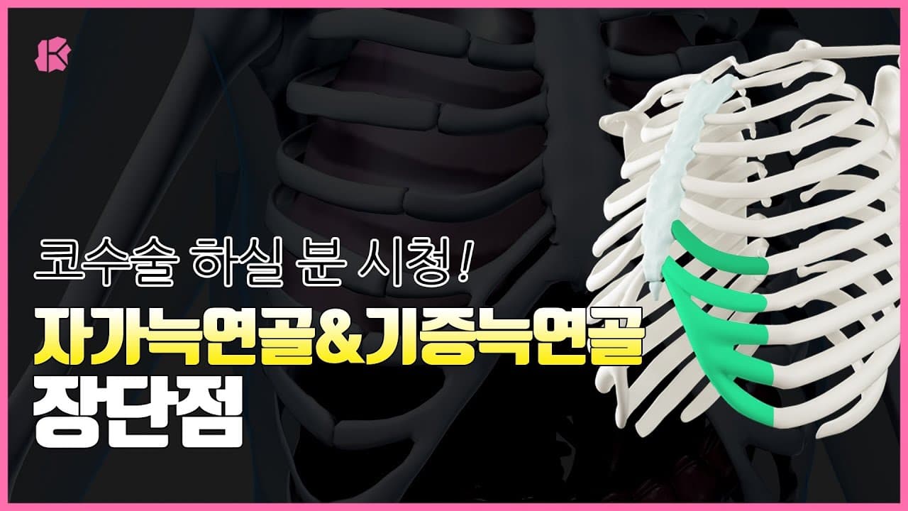 자가늑연골과 기증늑연골의 장단점, 모르고 가면 큰 코 다칩니다! ｜자가늑연골 & 기증늑연골