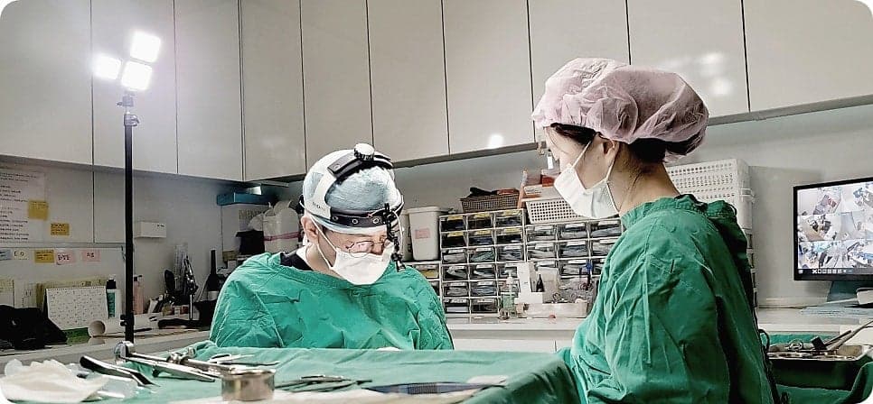 콧볼성형, 실패를 줄이려면 — 외측·내측 절개의 차이와 전체 구조를 함께 보는 이유 관련 이미지 6/8