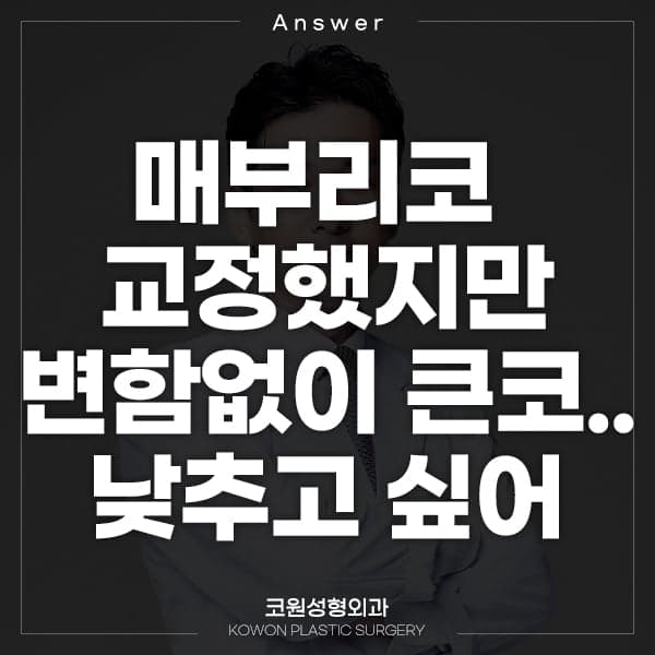 매부리코 교정 후에도 코가 크다면 — 큰코 축소수술의 방식과 한계 관련 이미지 1/2
