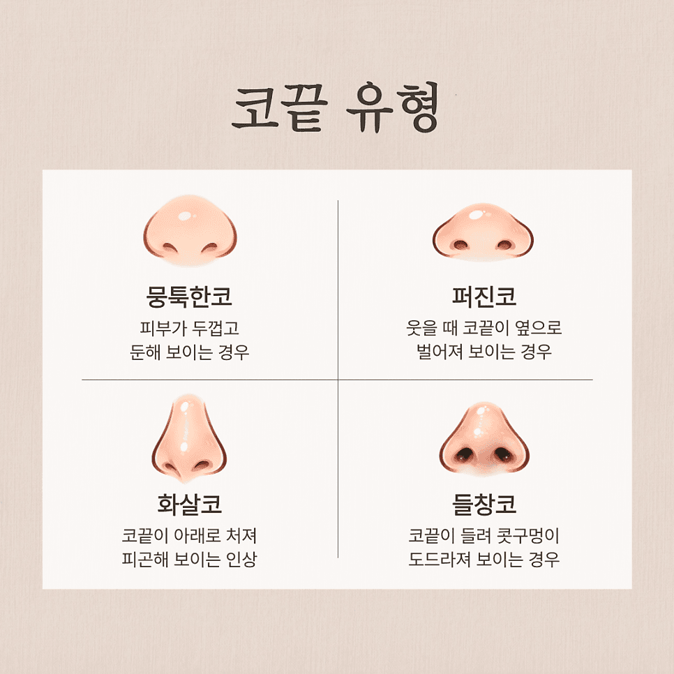 뭉툭한 코 코끝성형, 왜 '끝'만 보면 안 될까요? — 범위·재료·병원 선택 기준 관련 이미지 3/8