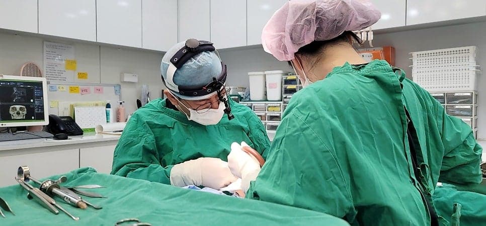 복코성형에서 실패를 줄이려면 — 코끝만 보지 않고 피부·연골·폭까지 확인하는 이유 관련 이미지 11/12