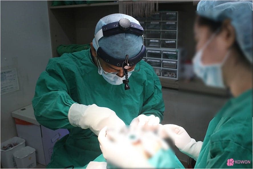 주먹코는 왜 얼굴 전체를 답답해 보이게 하나요 — 연부조직·연골·콧볼을 함께 보는 이유 관련 이미지 8/8