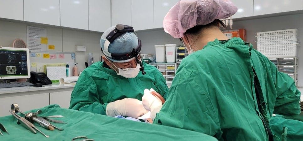 휜코수술, 어디서부터 시작해야 할까 — 비중격을 먼저 세우는 이유와 늑연골 선택 관련 이미지 7/8