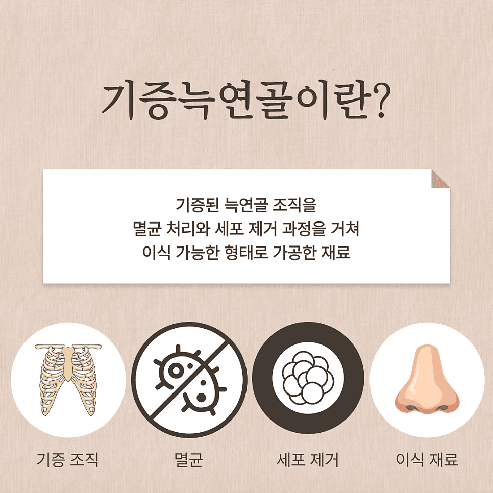 기증늑연골 장점과 단점 — 코성형 연골 선택은 무엇을 보고 정하나요? 관련 이미지 2/9