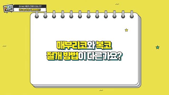 첫코성형과 코재수술의 차이 — 절개·봉합에서 흉터를 줄이는 방법 관련 이미지 6/20