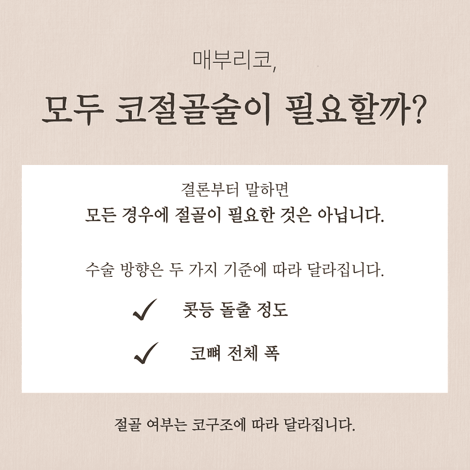코절골술, 매부리코라고 뼈를 깎는 과정이 다 필요할까 — 적용 기준 정리 관련 이미지 2/9