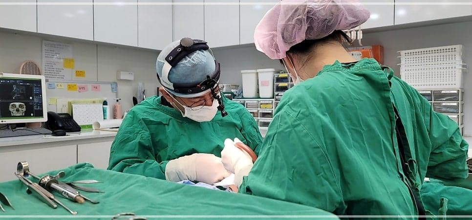 직반버선코, 직선과 곡선의 균형은 어떻게 잡나요 — 콧구멍 비대칭 동반 시 확인 순서 관련 이미지 8/9