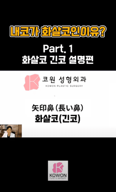 긴코수술은 어떻게 진행될까 — 처진코 원인 세 가지와 비중격·비주 조정, 회복 과정까지 관련 이미지 5/15