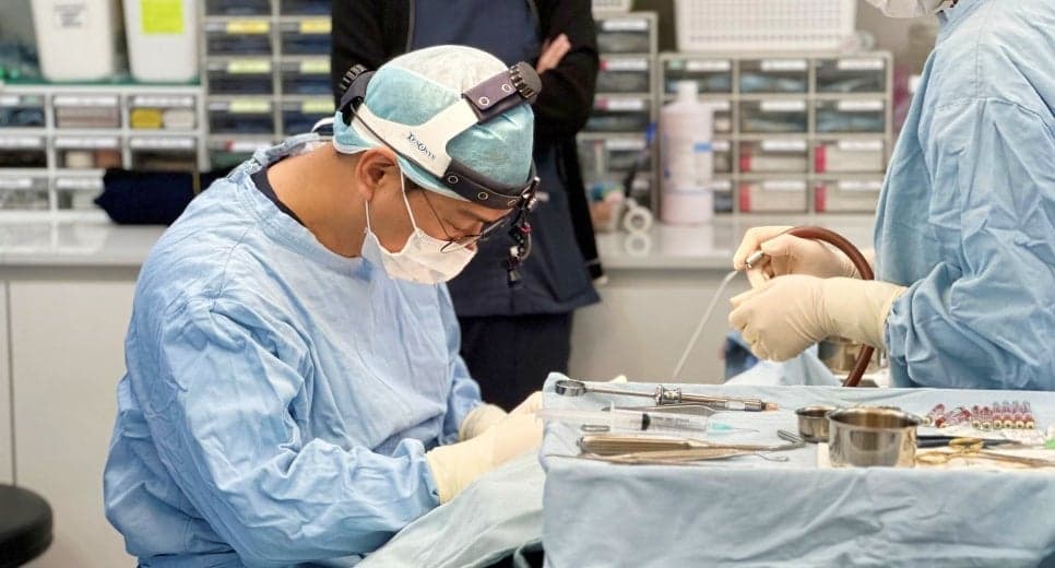 낮은코성형, 높이보다 조화 — 자연스러운 입체감을 결정하는 확인 순서 관련 이미지 6/7