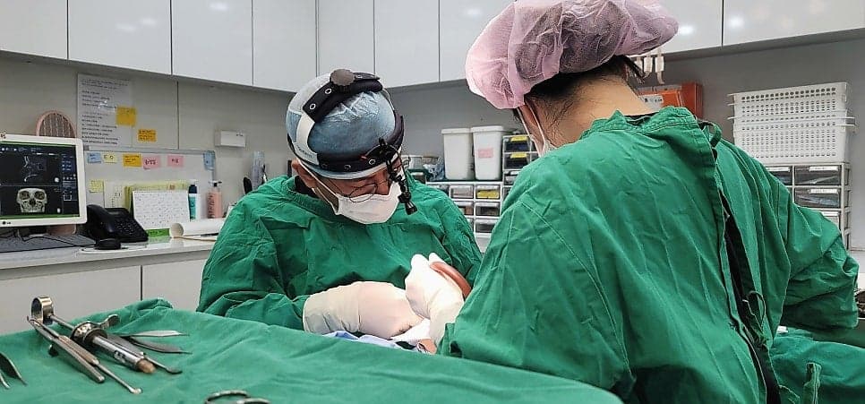 코끝수술 비용, 가격만 보고 결정하기 어려운 이유 — CCTV·집도의·사후관리 확인 순서 관련 이미지 4/4