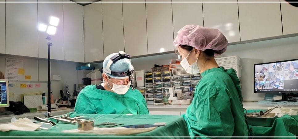 비순각 교정, 실리콘 없이도 가능한가요 — 돌출입처럼 보이는 착시와 90도의 의미 관련 이미지 3/7