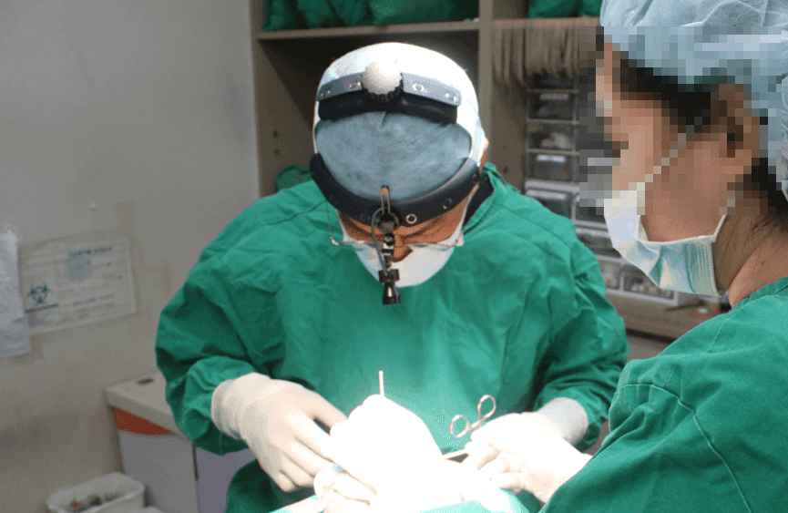 비순각성형과 고양이수술, 어떻게 다른가요 — 삽입 없는 교정과 수술 후 웃을 때 어색함 Q&A 관련 이미지 1/5