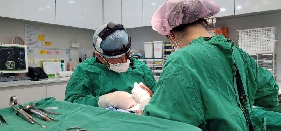 자연스러운 코의 조건 — 이마 라인·정면 비율·비순각, 세 가지를 함께 보는 이유 관련 이미지 6/6