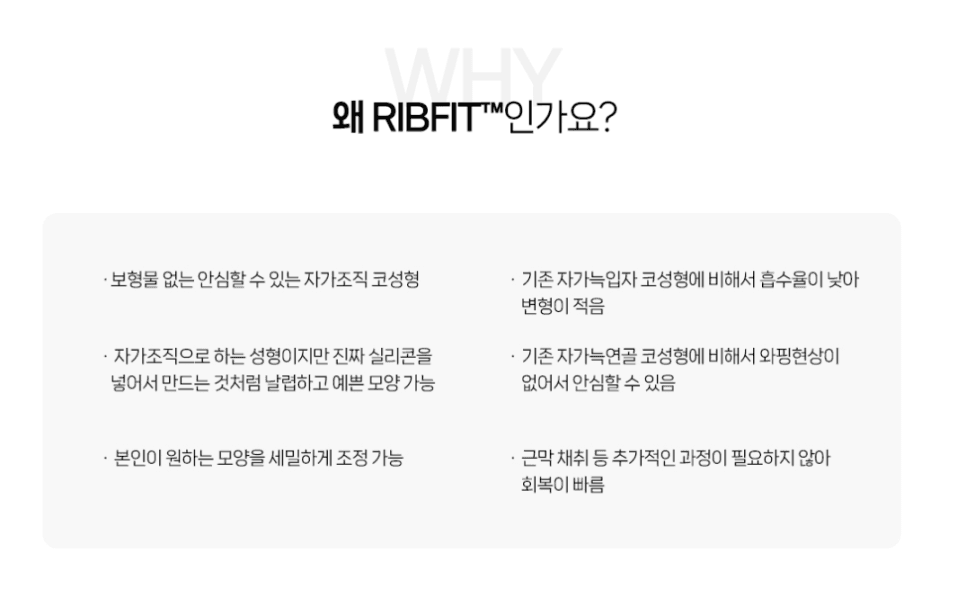 티 안 나는 코성형이 목표라면 — 보형물 없이 코끝만 정리하는 방법과 RIBFIT™ 리브핏 관련 이미지 5/12