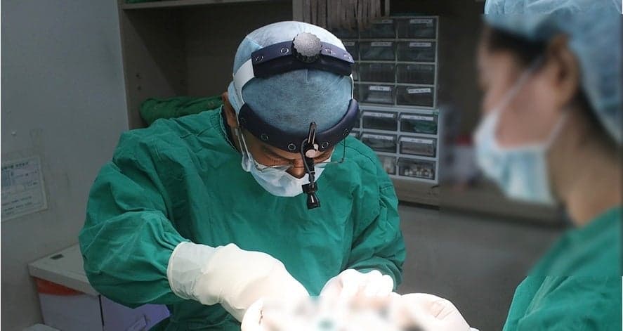 콧대높이기, 높이보다 비율 — 얼굴 조화를 먼저 보는 이유 관련 이미지 7/7