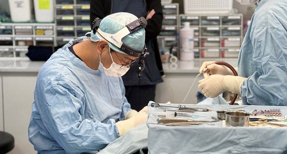 예쁜 코의 기준은 무엇일까 — 얼굴과의 조화, 그리고 보형물이 부담될 때의 RIBFIT™ 리브핏 관련 이미지 11/12