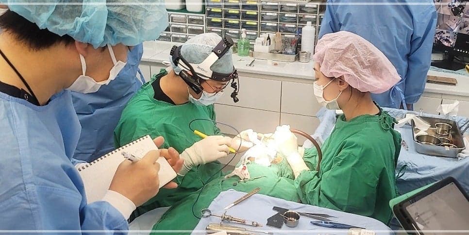 돌출입 코수술, 콧볼 축소 없이도 가능할까요? — 비주와 각도로 판단하는 기준 관련 이미지 9/11