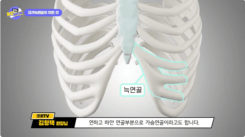 코수술 병원, 유명하다고 다 맞을까 — 맞춤 디자인·CCTV 공개·재료라는 세 가지 기준 관련 이미지 6/7