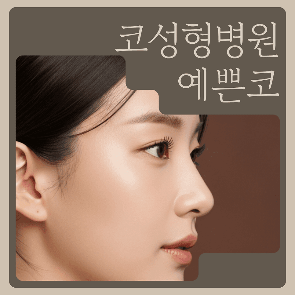코성형병원 선택 기준 — 어울리는 라인과 재료의 차이부터 확인하는 이유 관련 이미지 1/4