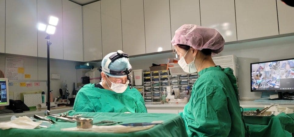 코성형 병원 고를 때 확인하는 세 가지 — 누가 집도하는가, 과정을 볼 수 있는가, 상담은 얼마나 깊은가 관련 이미지 3/7
