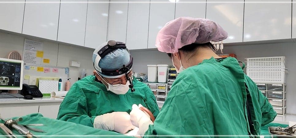 코성형 후 통증, 염증이 문제일 수 있습니다 — 붓기와 구분하는 신호 5가지 관련 이미지 7/7