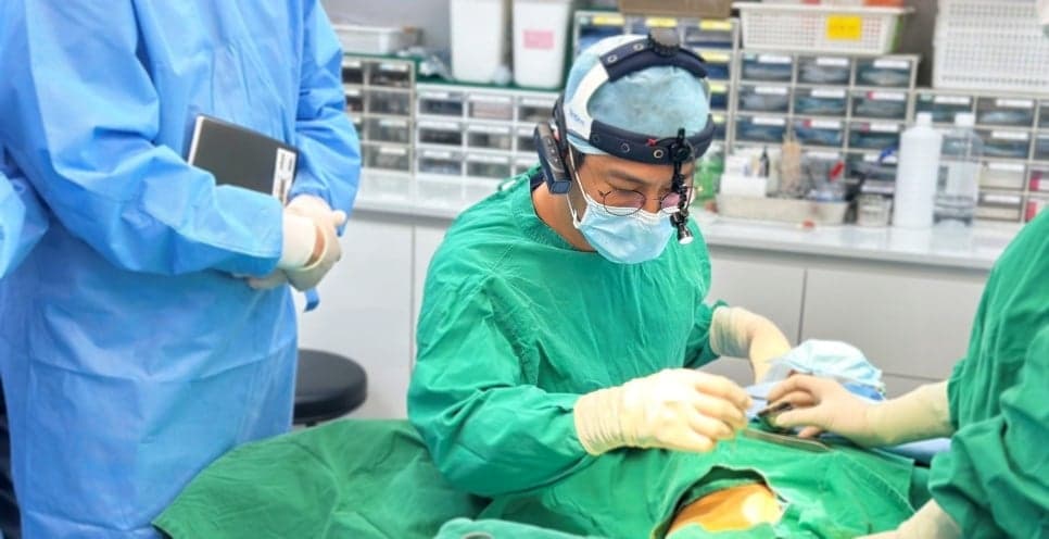짧은코성형에 자가늑연골을 고려하는 기준 — 길이·비율·지지 구조를 구분하는 순서 관련 이미지 7/7