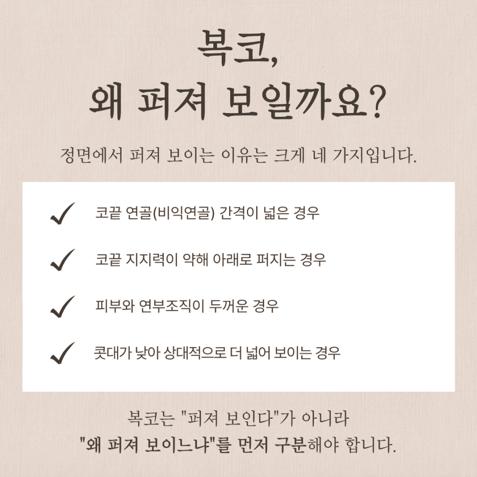코끝연골묶기, 복코도 묶기만으로 충분할까 — 가능한 구조와 부족한 구조 관련 이미지 2/8