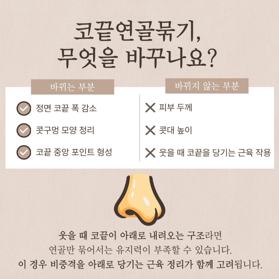 코끝연골묶기, 복코도 묶기만으로 충분할까 — 가능한 구조와 부족한 구조 관련 이미지 3/8