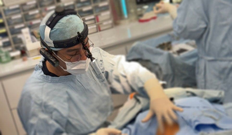 코끝연골묶기, 복코도 묶기만으로 충분할까 — 가능한 구조와 부족한 구조 관련 이미지 7/8