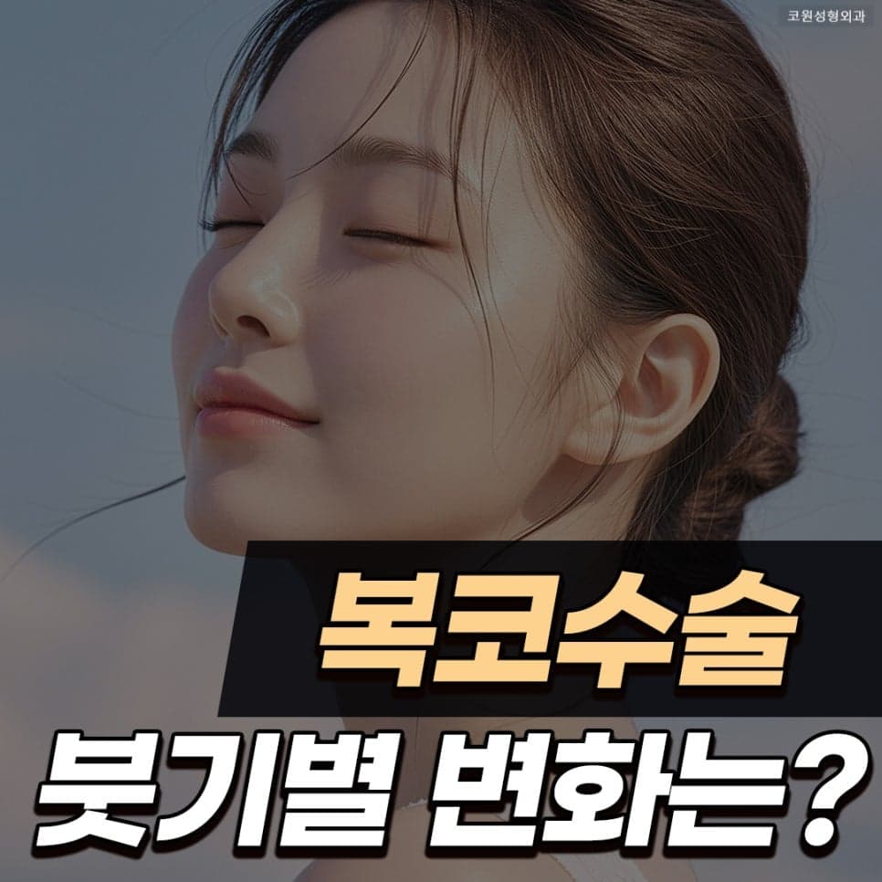 코끝연골묶기 후 붓기, 코끝만 아직 뭉툭해 보인다면 — 회복 흐름과 확인 기준 관련 이미지 1/5