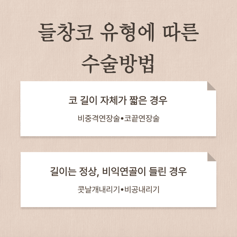 들창코교정, 코끝이 들려 보이는 이유와 자가늑연골을 고려하는 기준 관련 이미지 3/9
