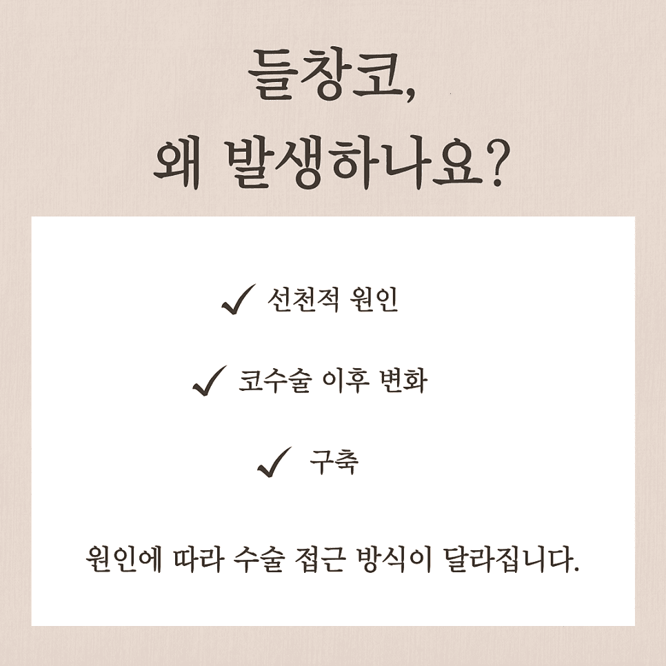 들창코교정, 코끝이 들려 보이는 이유와 자가늑연골을 고려하는 기준 관련 이미지 4/9