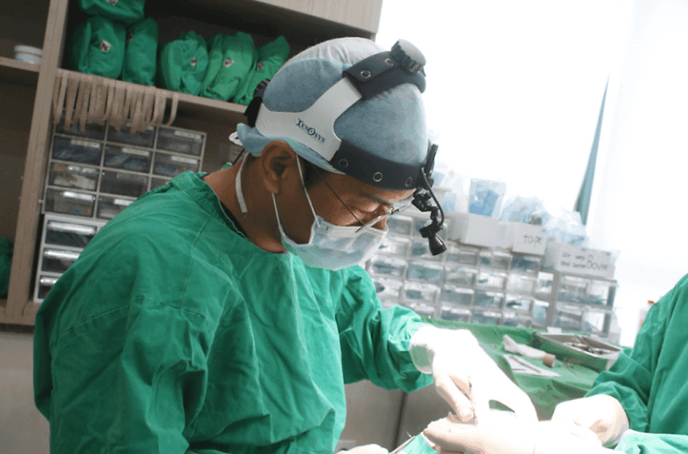 들창코수술 전 확인해야 할 것들 — 코끝만 내리면 안 되는 이유와 자가늑연골을 쓰는 경우 관련 이미지 7/7