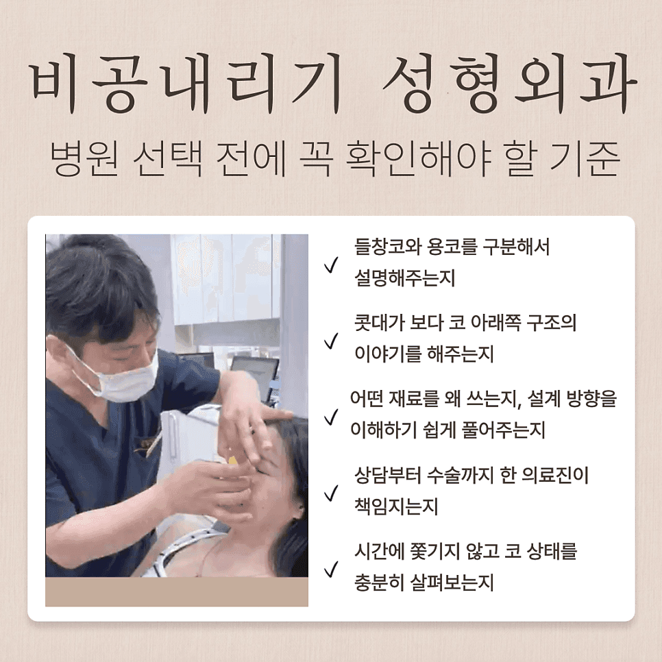 비공내리기와 용코 — 들창코와 무엇이 다르고, 어떤 기준으로 판단할까 관련 이미지 6/6